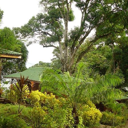 Cabinas La Parcela Villa Dominical Bagian luar foto
