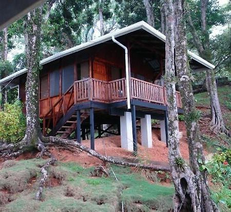 Cabinas La Parcela Villa Dominical Bagian luar foto