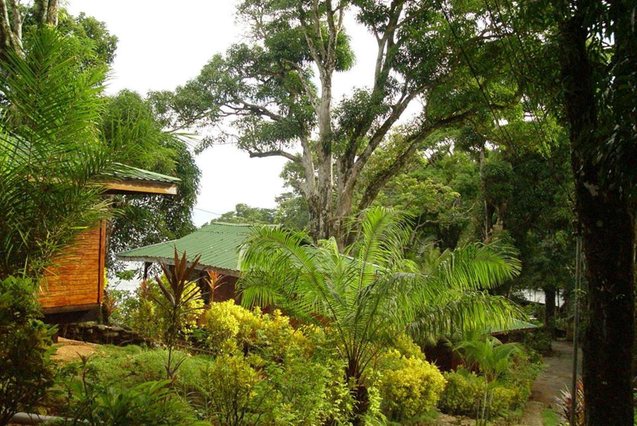Cabinas La Parcela Villa Dominical Bagian luar foto