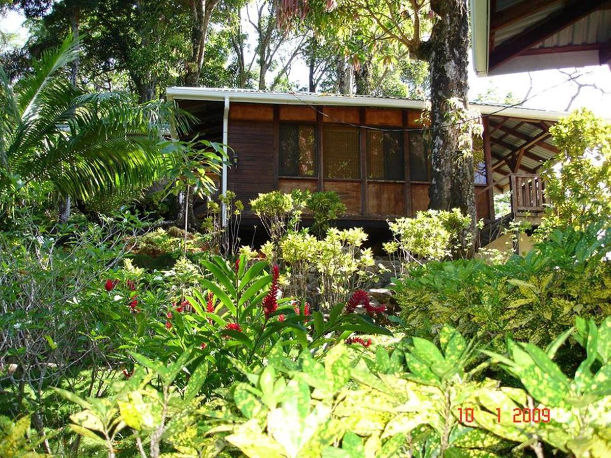 Cabinas La Parcela Villa Dominical Bagian luar foto